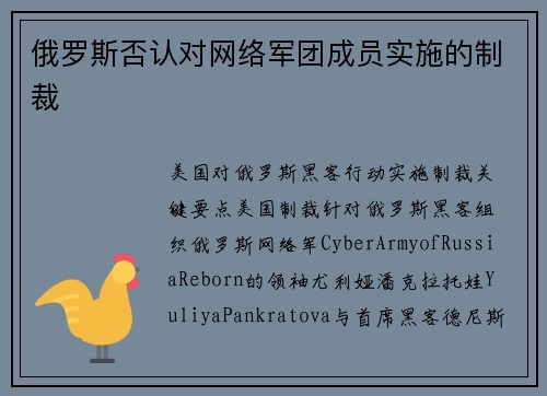 俄罗斯否认对网络军团成员实施的制裁 