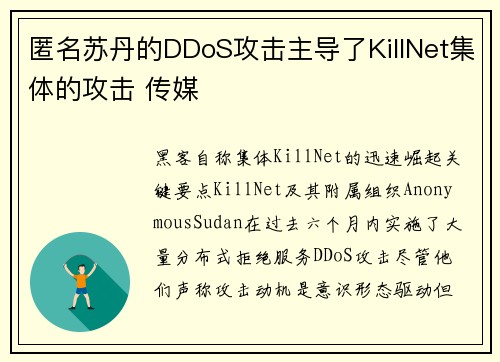 匿名苏丹的DDoS攻击主导了KillNet集体的攻击 传媒